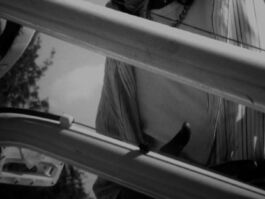 Standstill PHILIPP GROTH Philipp Groth Artist Archive Chicago