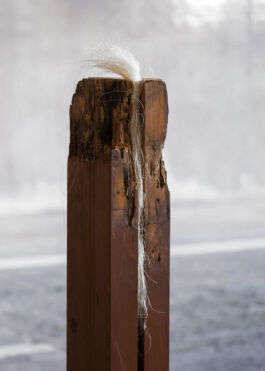 Situation als Akt II Gasbon Metabolism PHILIPP GROTH Philipp Groth Artist Archive Chicago