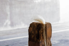 Philipp Groth Gasbon Metabolsim Hokuto Japan Tokyo Situation als Akt Philipp Groth