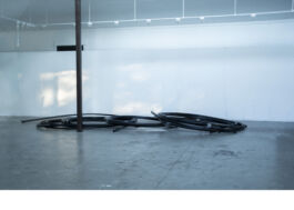 Curving Figure Ox-Bow School of the Arts PHILIPP GROTH Philipp Groth