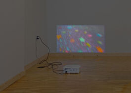 web2 Philipp Groth Artist Archive Chicago