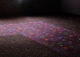 DSCF6722 Philipp Groth Artist Archive Chicago