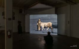 by_bye_avondale_overview_2025_s_Page_04 Philipp Groth Artist Archive Chicago