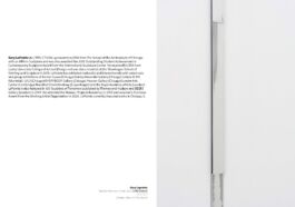 by_bye_pilsen_2024_Page_51 Philipp Groth Artist Archive Chicago